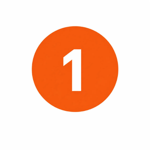 numero 1 web